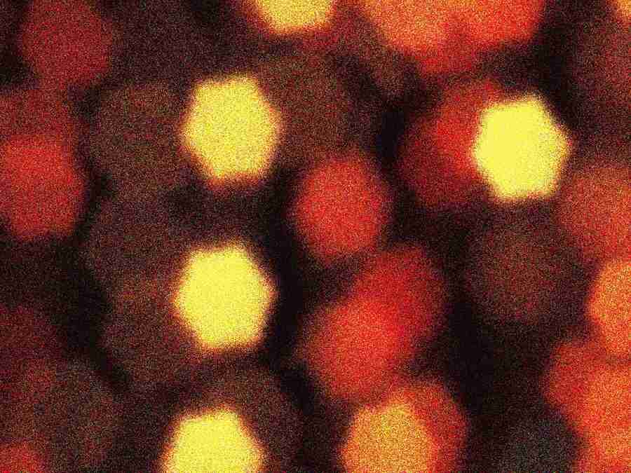 Power Abstracts - Digital Juice Presentation Library ></a>
<script language=JavaScript> 
  var txt = 