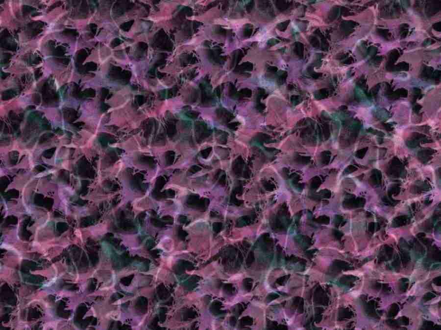 Power Abstracts - Digital Juice Presentation Library ></a>
<script language=JavaScript> 
  var txt = 