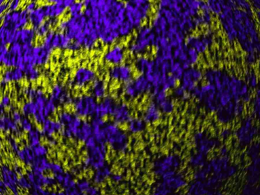 Power Abstracts - Digital Juice Presentation Library ></a>
<script language=JavaScript> 
  var txt = 