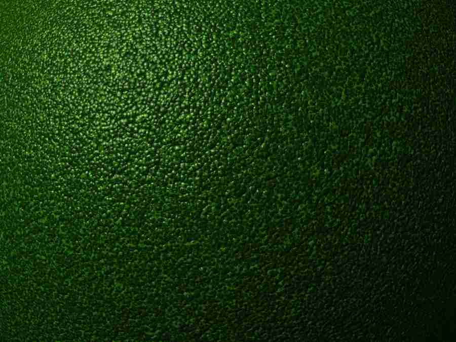 Power Abstracts - Digital Juice Presentation Library ></a>
<script language=JavaScript> 
  var txt = 