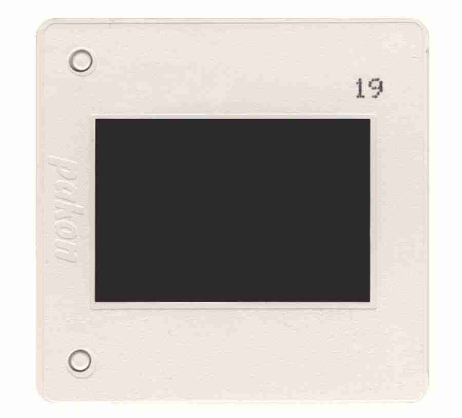 Photo Objects - Digital Juice Presentation Library ></a>
<script language=JavaScript> 
  var txt = 