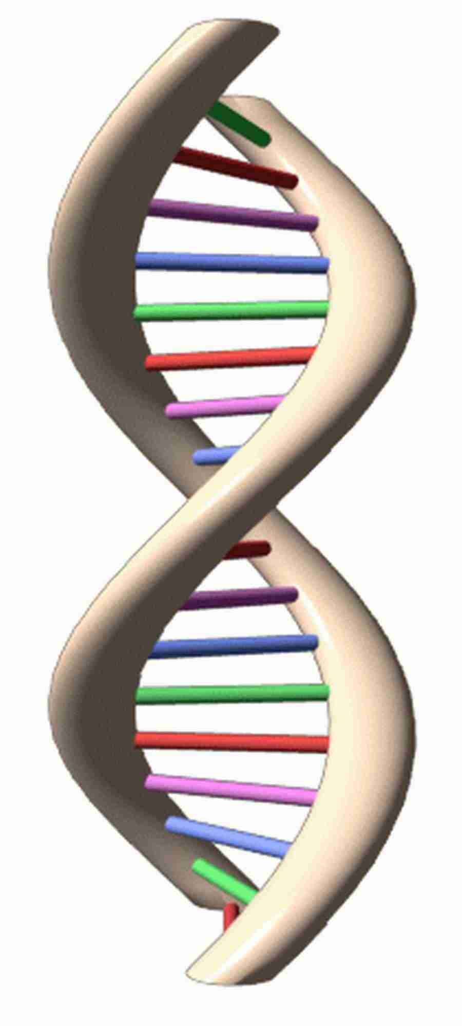 Photo Objects - Digital Juice Presentation Library ></a>
<script language=JavaScript> 
  var txt = 