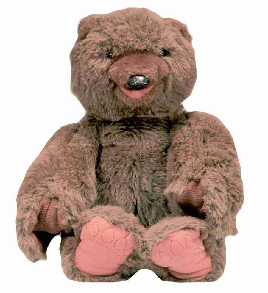 Photo Objects - Digital Juice Presentation Library ></a>
<script language=JavaScript> 
  var txt = 