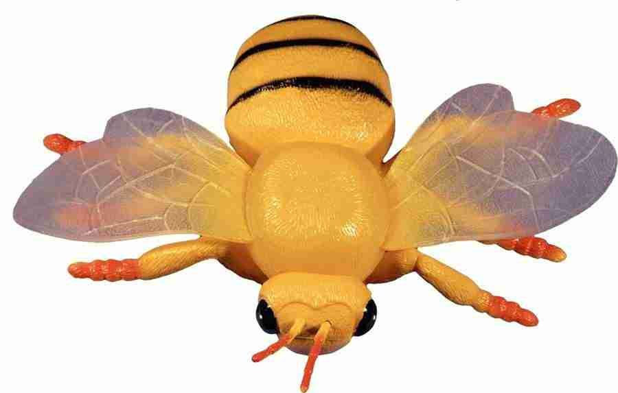 Photo Objects - Digital Juice Presentation Library ></a>
<script language=JavaScript> 
  var txt = 