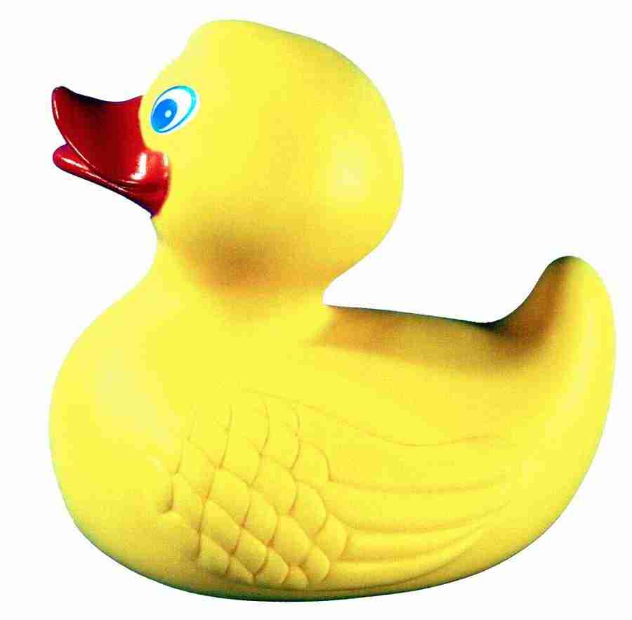 Photo Objects - Digital Juice Presentation Library ></a>
<script language=JavaScript> 
  var txt = 