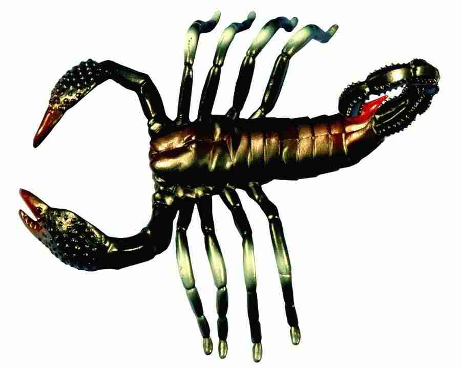 Photo Objects - Digital Juice Presentation Library ></a>
<script language=JavaScript> 
  var txt = 