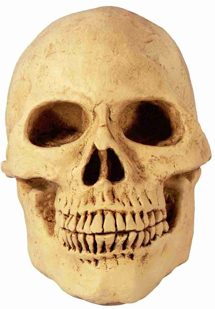 Photo Objects - Digital Juice Presentation Library ></a>
<script language=JavaScript> 
  var txt = 