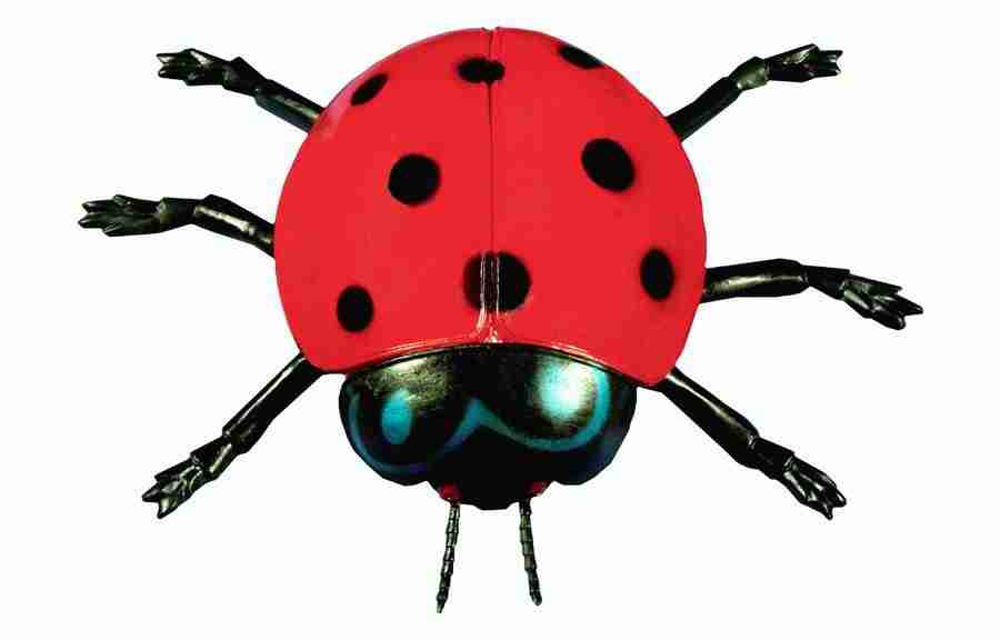 Photo Objects - Digital Juice Presentation Library ></a>
<script language=JavaScript> 
  var txt = 