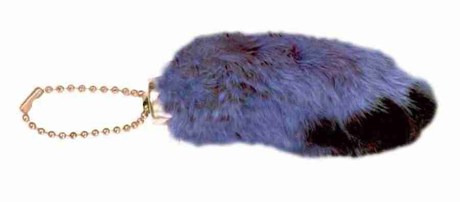 Photo Objects - Digital Juice Presentation Library ></a>
<script language=JavaScript> 
  var txt = 