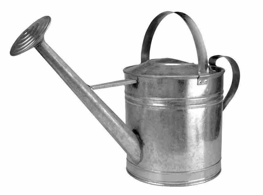 Photo Objects - Digital Juice Presentation Library ></a>
<script language=JavaScript> 
  var txt = 