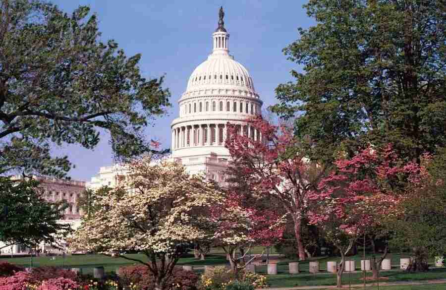 Washington DC - Digital Juice Presentation Library ></a>
<script language=JavaScript> 
  var txt = 