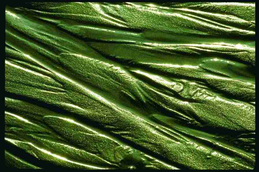 Backgrounds and Textures1 - DiAMAR ></a>
<script language=JavaScript> 
  var txt = 