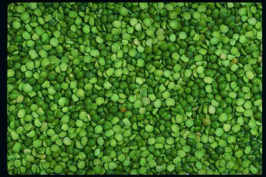 Backgrounds and Textures1 - DiAMAR ></a>
<script language=JavaScript> 
  var txt = 