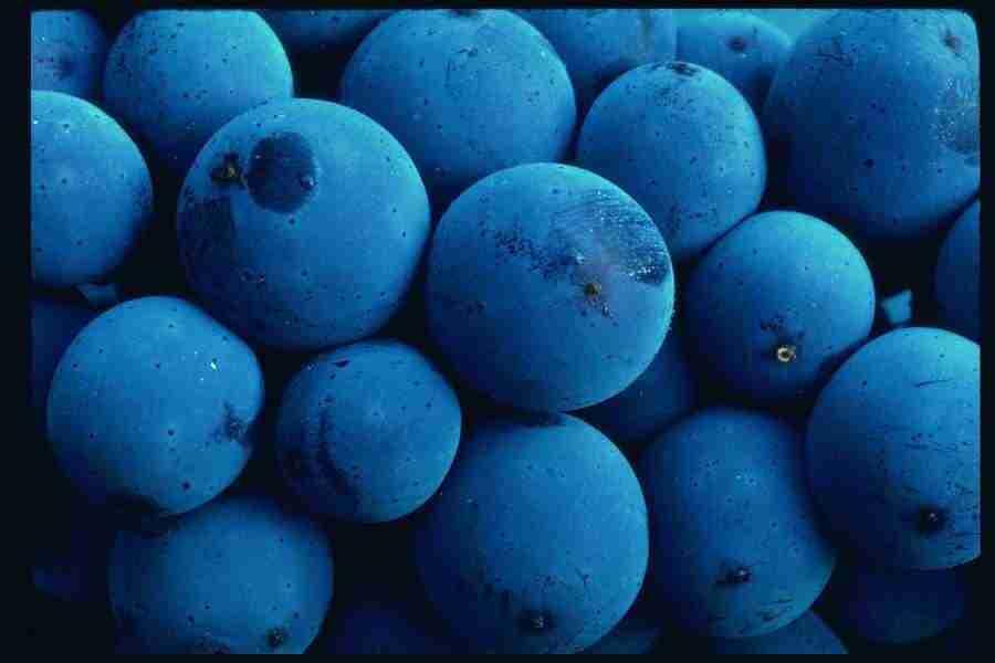 Backgrounds and Textures1 - DiAMAR ></a>
<script language=JavaScript> 
  var txt = 