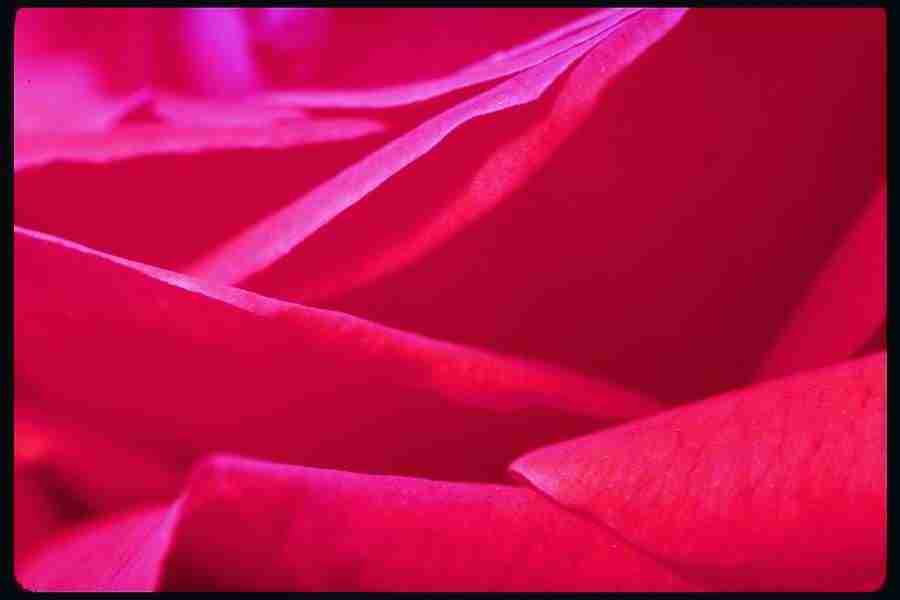 Backgrounds and Textures1 - DiAMAR ></a>
<script language=JavaScript> 
  var txt = 