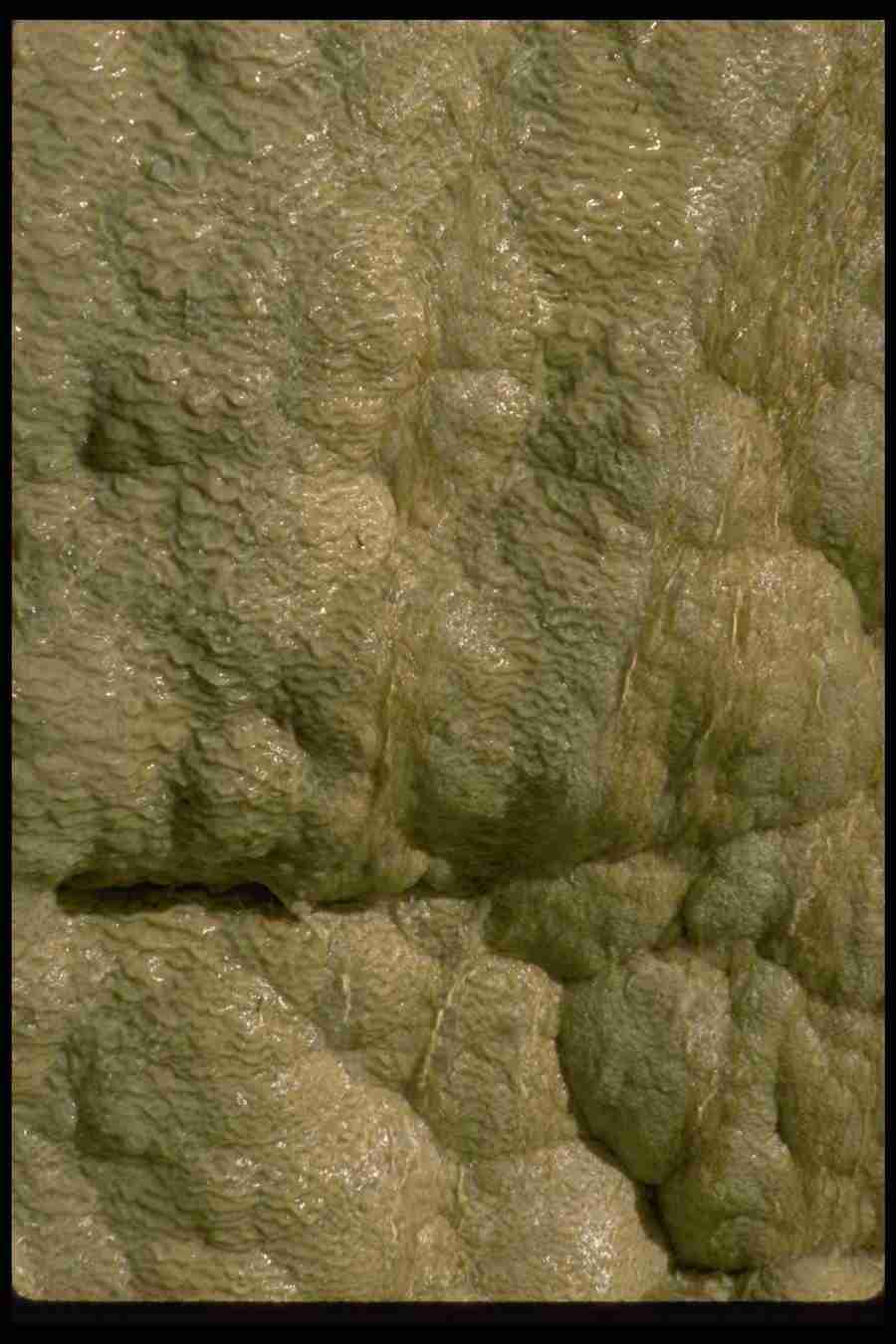 Backgrounds and Textures 7 - DiAMAR ></a>
<script language=JavaScript> 
  var txt = 
