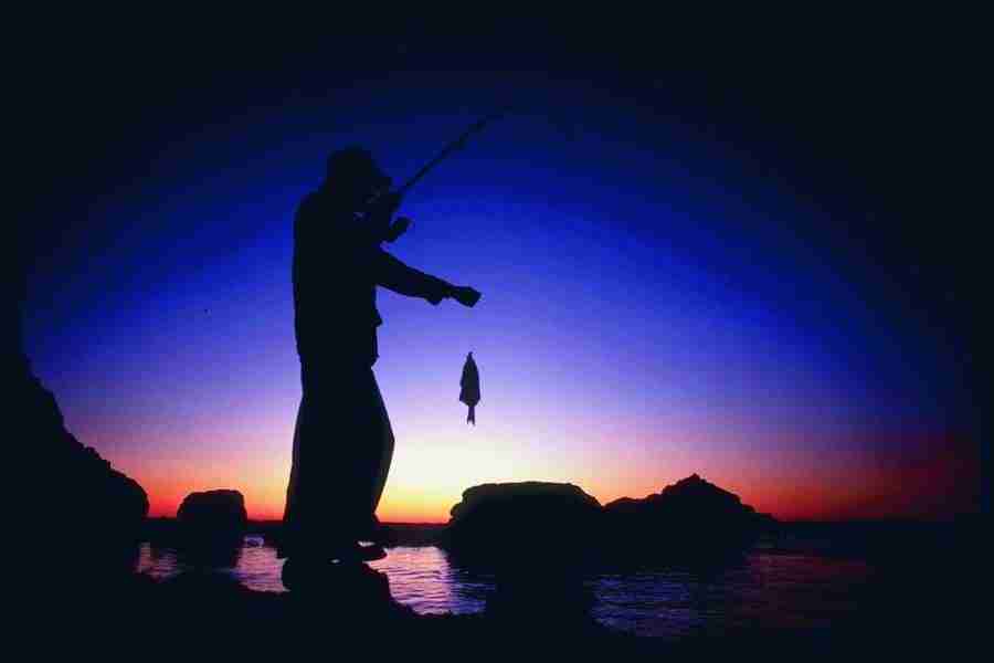 People and Lifestyles1 - DiAMAR ></a>
<script language=JavaScript> 
  var txt = 