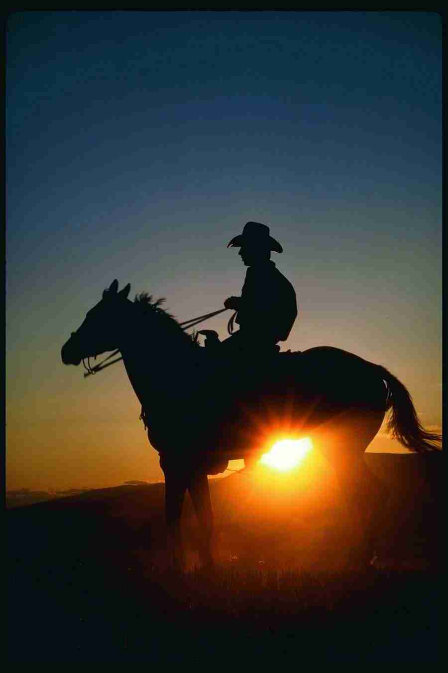 People and Lifestyles1 - DiAMAR ></a>
<script language=JavaScript> 
  var txt = 