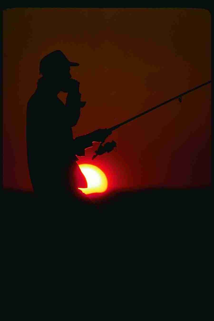 People and Lifestyles1 - DiAMAR ></a>
<script language=JavaScript> 
  var txt = 