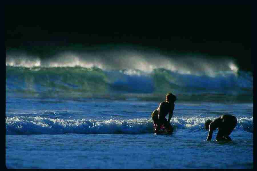 People and Lifestyles1 - DiAMAR ></a>
<script language=JavaScript> 
  var txt = 