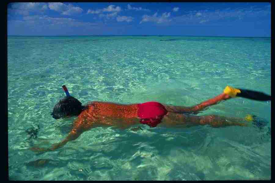 People and Lifestyles1 - DiAMAR ></a>
<script language=JavaScript> 
  var txt = 