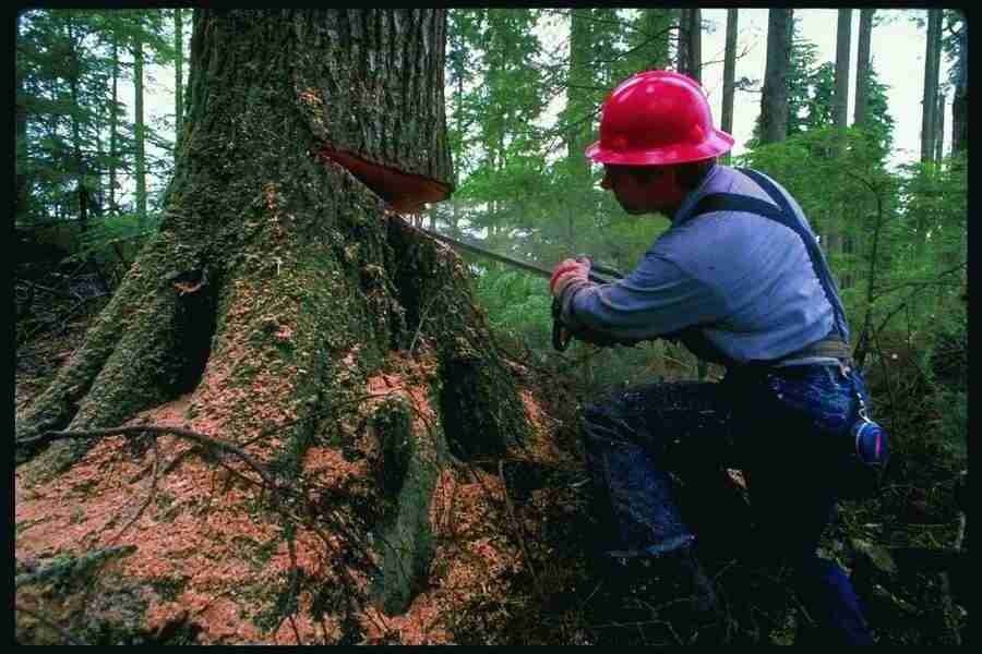 People and Lifestyles1 - DiAMAR ></a>
<script language=JavaScript> 
  var txt = 