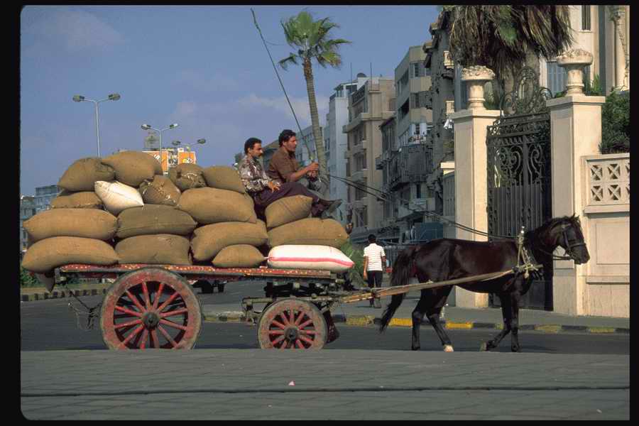 People and Lifestyles 10 - DiAMAR ></a>
<script language=JavaScript> 
  var txt = 