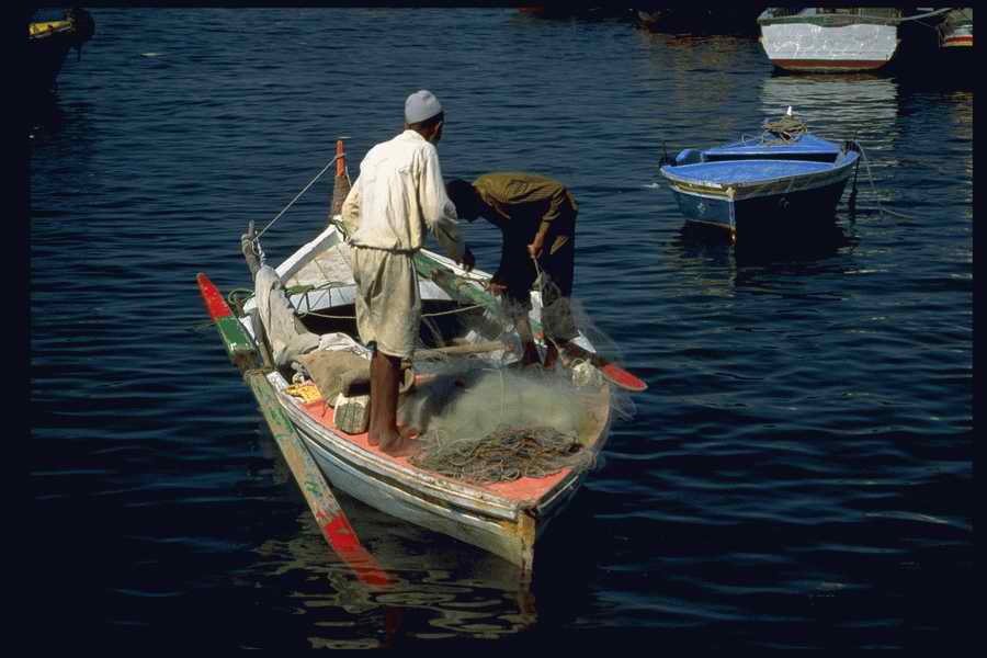 People and Lifestyles 10 - DiAMAR ></a>
<script language=JavaScript> 
  var txt = 