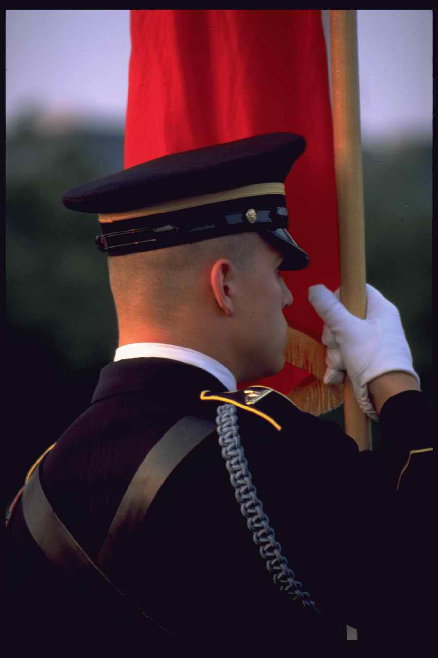 People and Lifestyles 10 - DiAMAR ></a>
<script language=JavaScript> 
  var txt = 