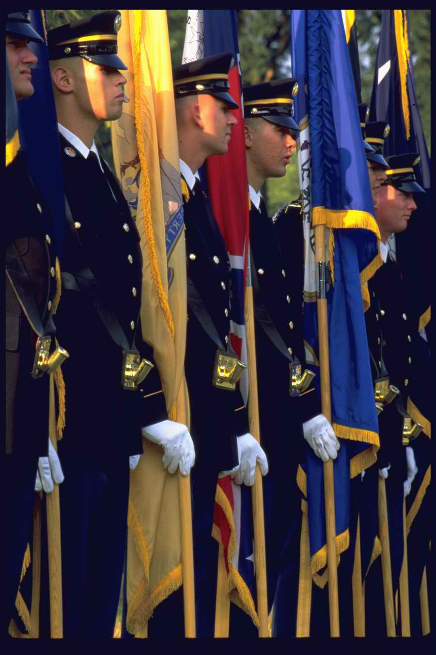 People and Lifestyles 10 - DiAMAR ></a>
<script language=JavaScript> 
  var txt = 