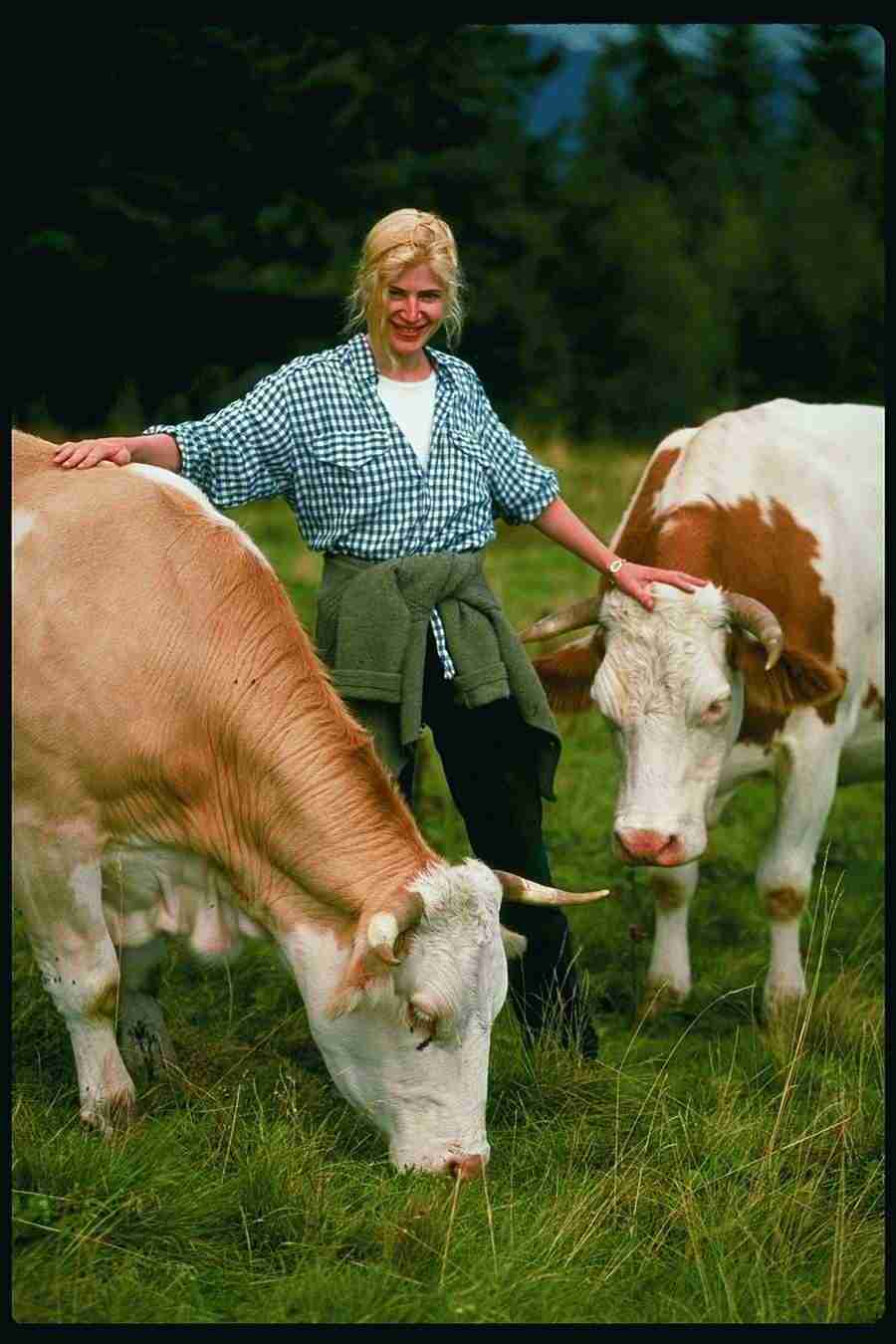 People and Lifestyles 2 - DiAMAR ></a>
<script language=JavaScript> 
  var txt = 