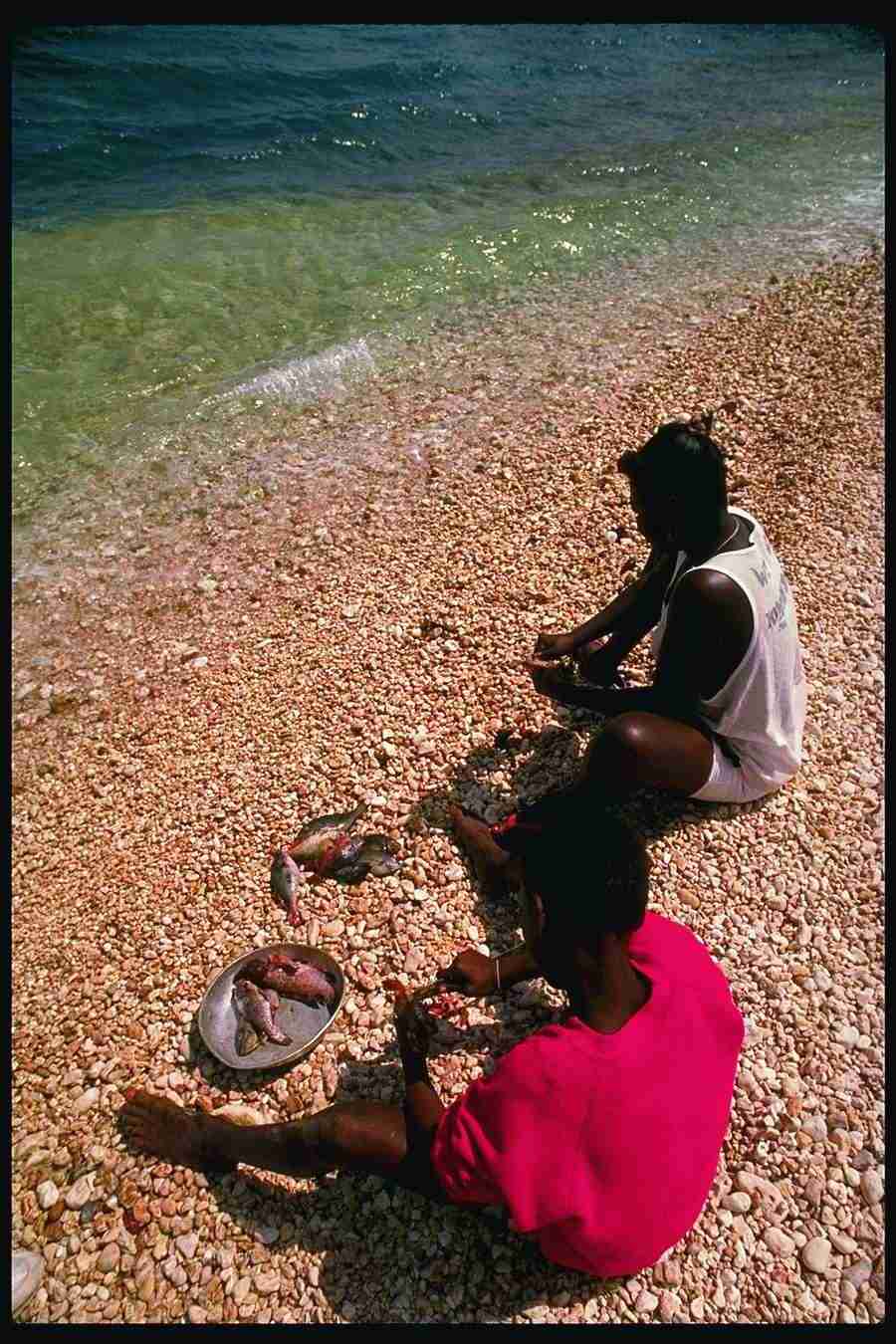 People and Lifestyles 2 - DiAMAR ></a>
<script language=JavaScript> 
  var txt = 