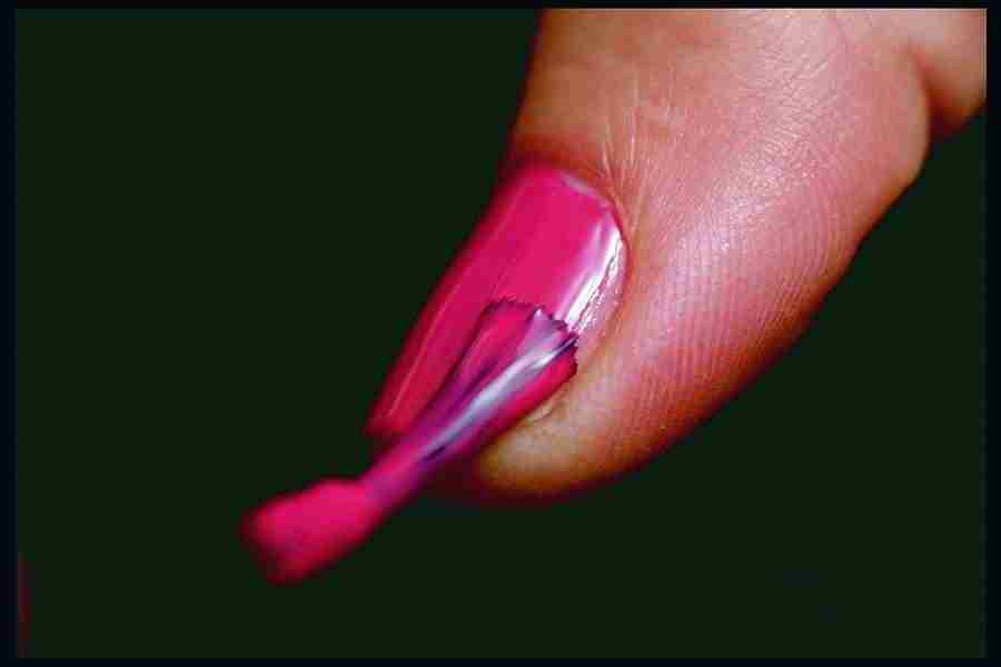 People and Lifestyles 2 - DiAMAR ></a>
<script language=JavaScript> 
  var txt = 