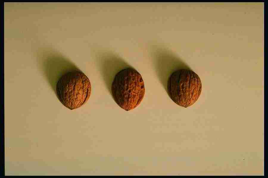 People and Lifestyles 2 - DiAMAR ></a>
<script language=JavaScript> 
  var txt = 