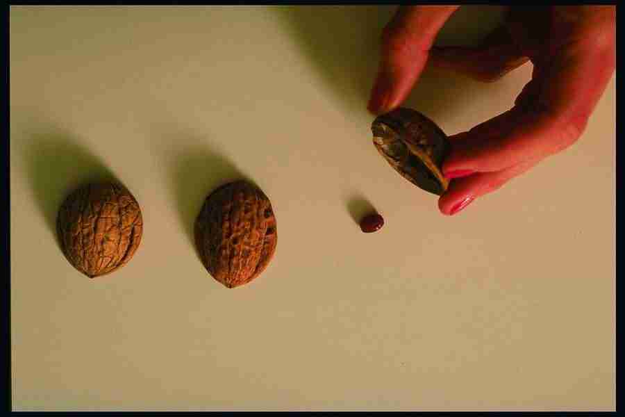 People and Lifestyles 2 - DiAMAR ></a>
<script language=JavaScript> 
  var txt = 