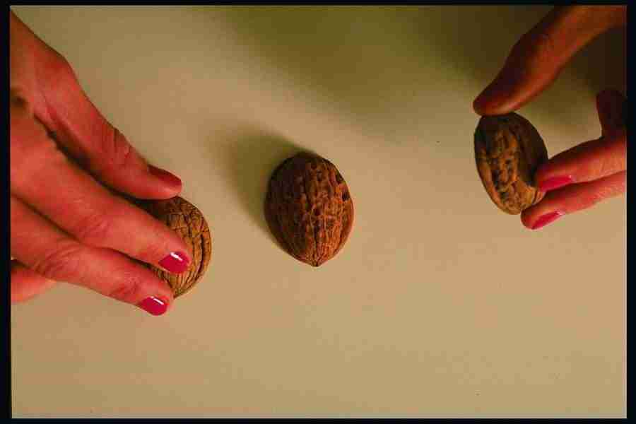 People and Lifestyles 2 - DiAMAR ></a>
<script language=JavaScript> 
  var txt = 