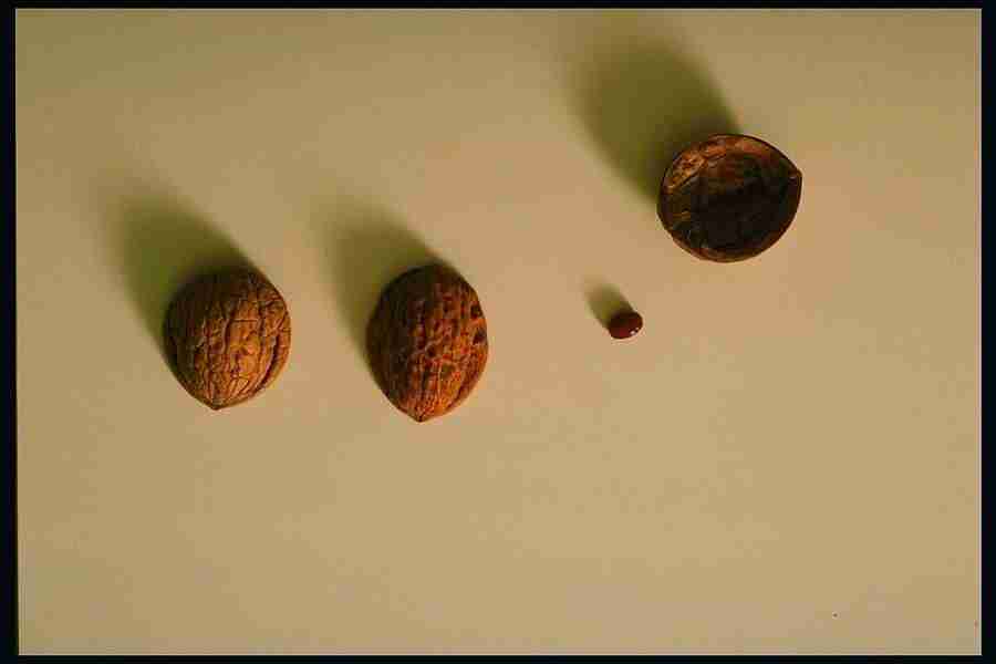 People and Lifestyles 2 - DiAMAR ></a>
<script language=JavaScript> 
  var txt = 