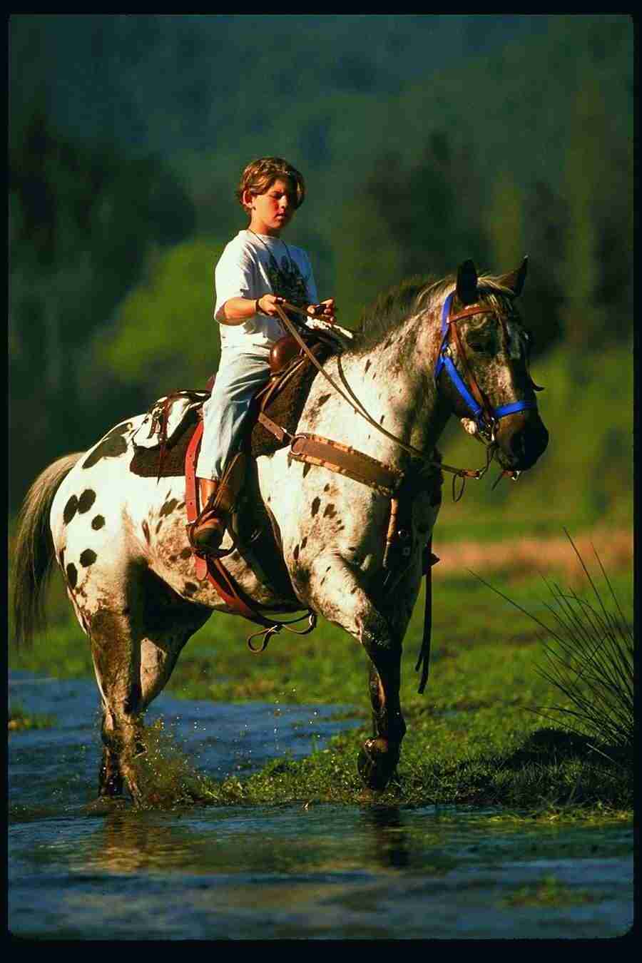 People and Lifestyles3 - DiAMAR ></a>
<script language=JavaScript> 
  var txt = 