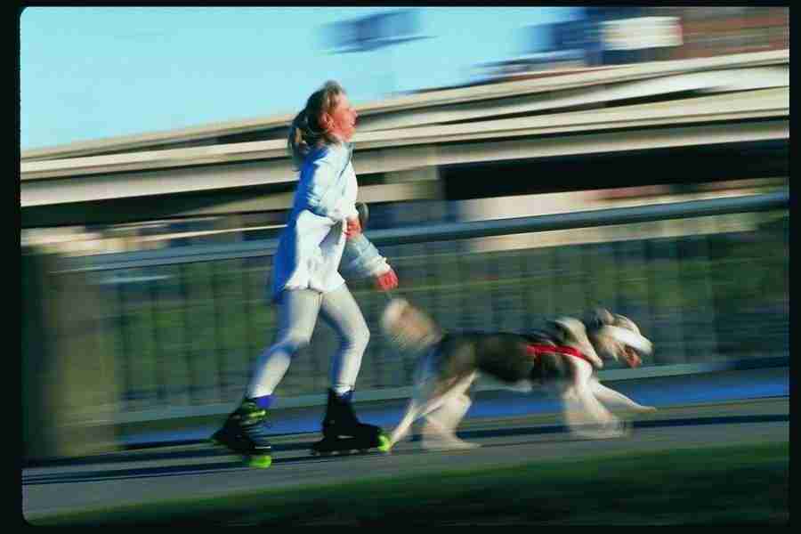 People and Lifestyles3 - DiAMAR ></a>
<script language=JavaScript> 
  var txt = 