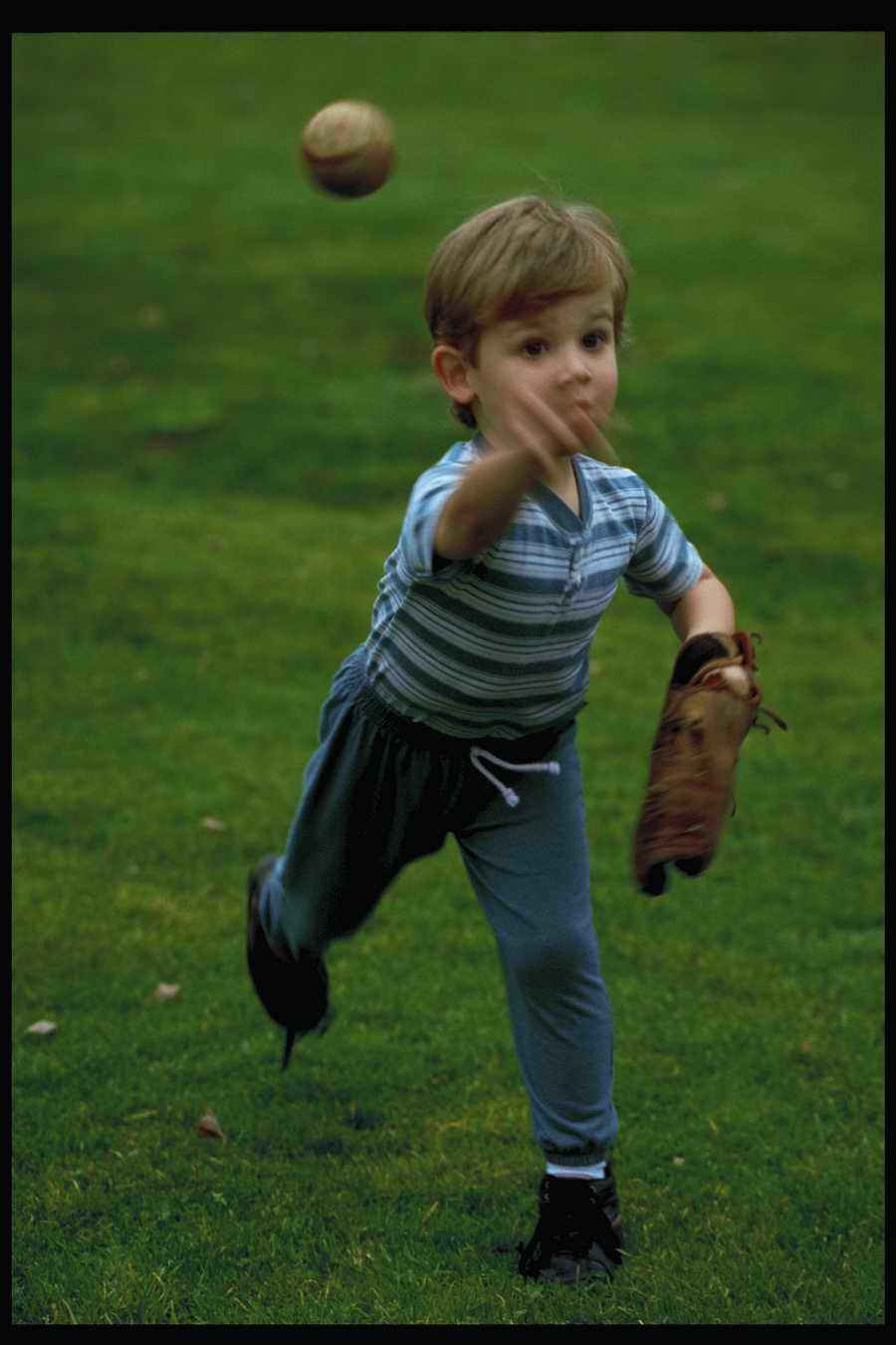 People and Lifestyles 4 - DiAMAR ></a>
<script language=JavaScript> 
  var txt = 