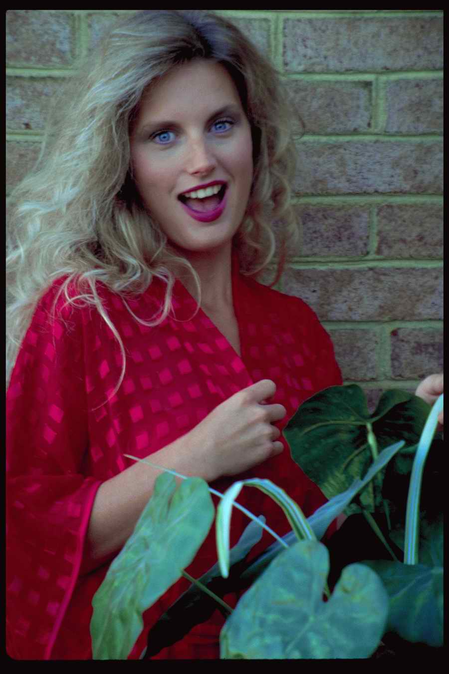 People and Lifestyles 4 - DiAMAR ></a>
<script language=JavaScript> 
  var txt = 