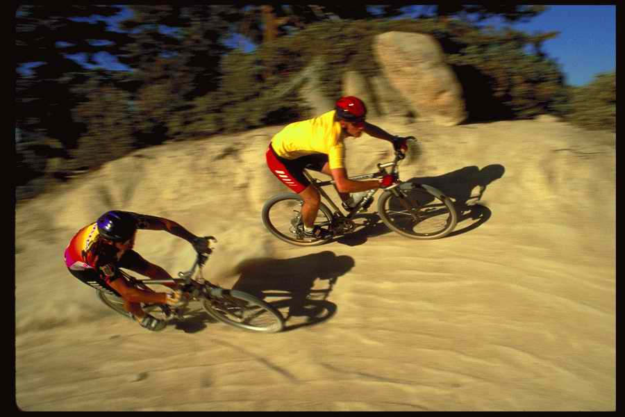 People and Lifestyles 4 - DiAMAR ></a>
<script language=JavaScript> 
  var txt = 