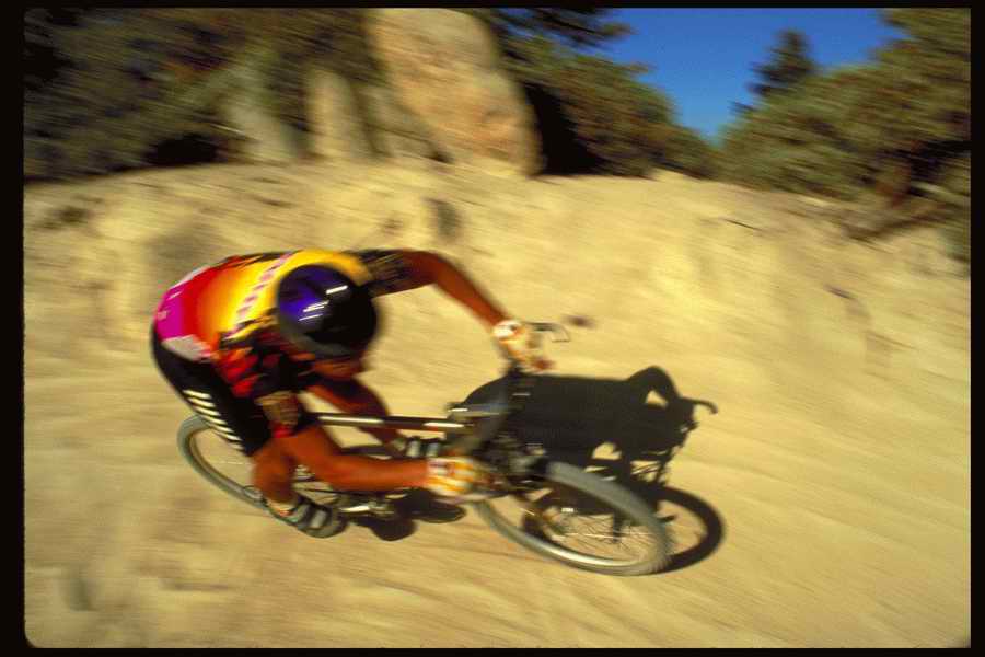 People and Lifestyles 4 - DiAMAR ></a>
<script language=JavaScript> 
  var txt = 