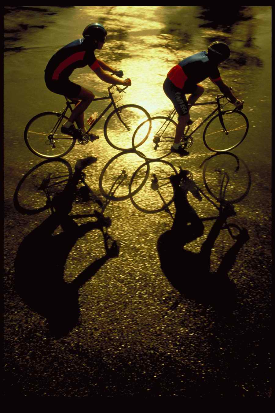 People and Lifestyles 4 - DiAMAR ></a>
<script language=JavaScript> 
  var txt = 