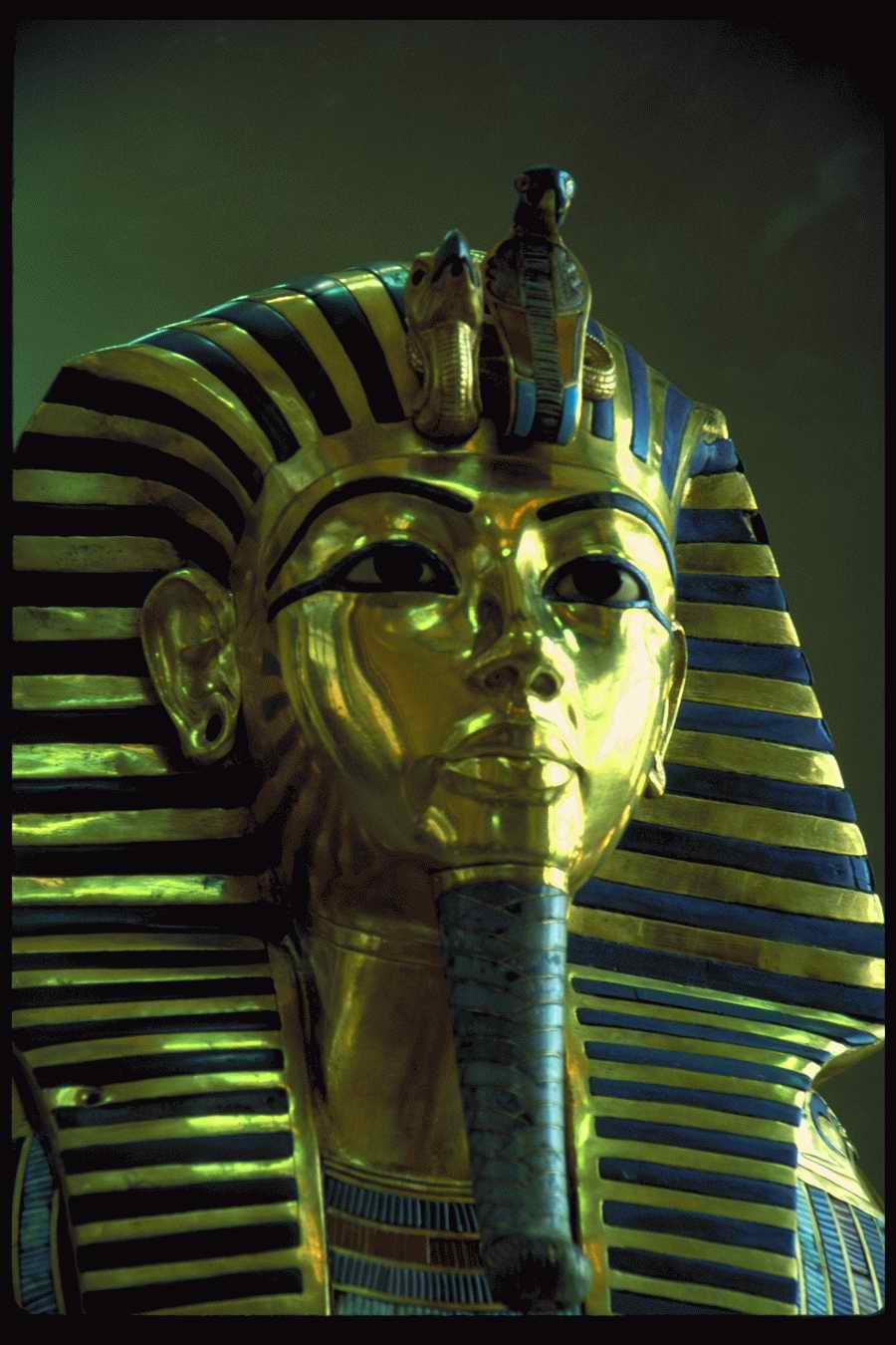 People and Lifestyles 4 - DiAMAR ></a>
<script language=JavaScript> 
  var txt = 