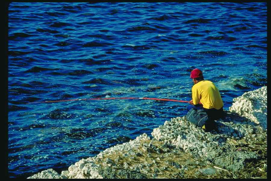 People and Lifestyles 5 - DiAMAR ></a>
<script language=JavaScript> 
  var txt = 