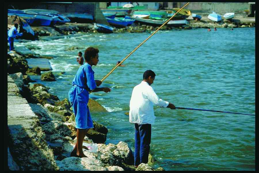 People and Lifestyles 5 - DiAMAR ></a>
<script language=JavaScript> 
  var txt = 