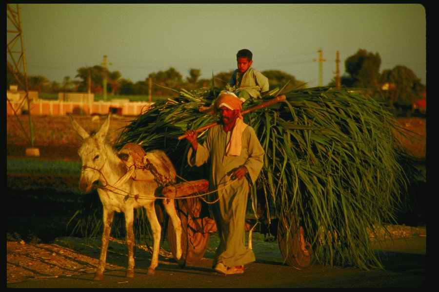 People and Lifestyles 5 - DiAMAR ></a>
<script language=JavaScript> 
  var txt = 