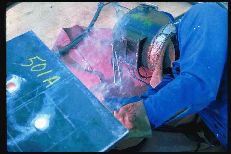 People and Lifestyles 6 - DiAMAR ></a>
<script language=JavaScript> 
  var txt = 