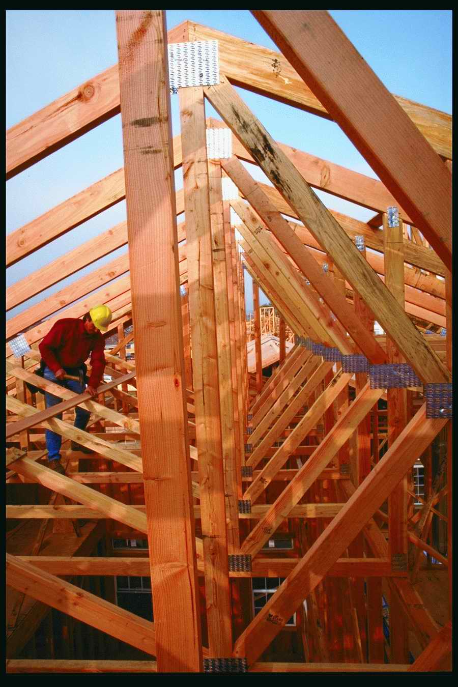 People and Lifestyles 6 - DiAMAR ></a>
<script language=JavaScript> 
  var txt = 